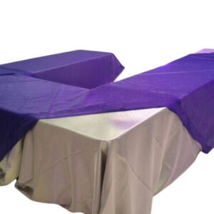 SOBREMANTEL - ORGANZA - MORADO